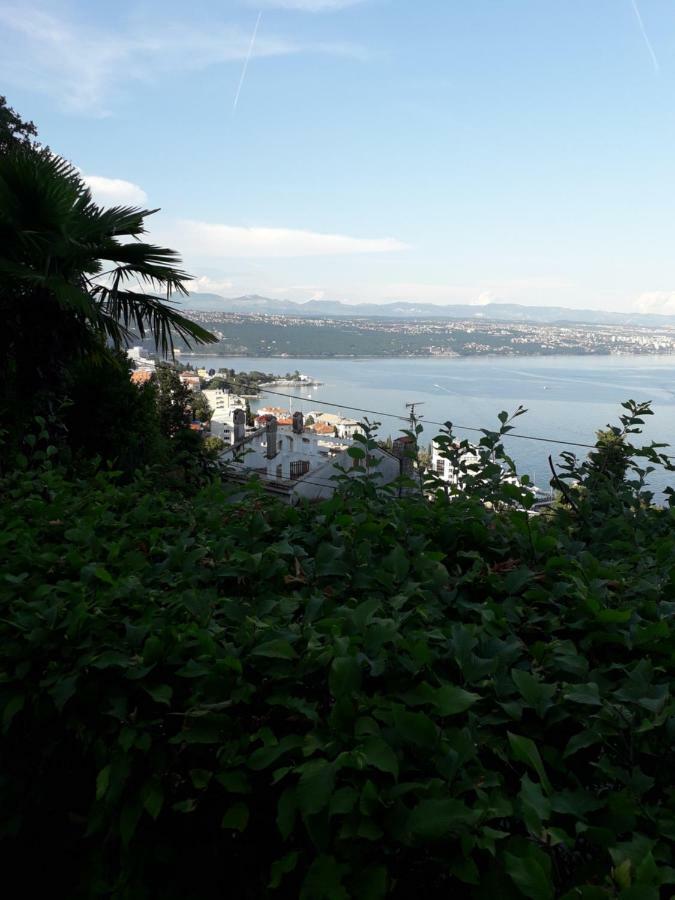 Apartment Ana Opatija Exteriér fotografie